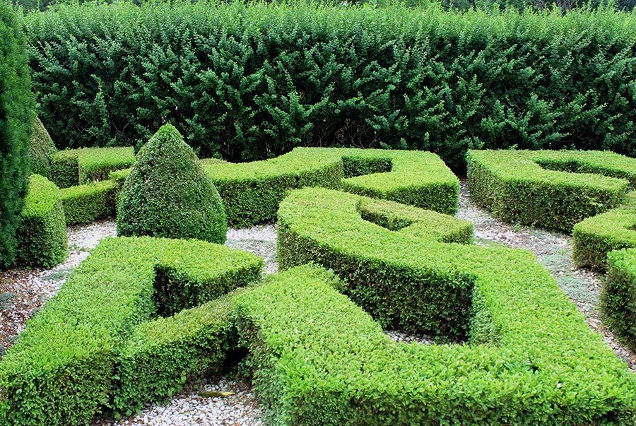 Types of Hedges