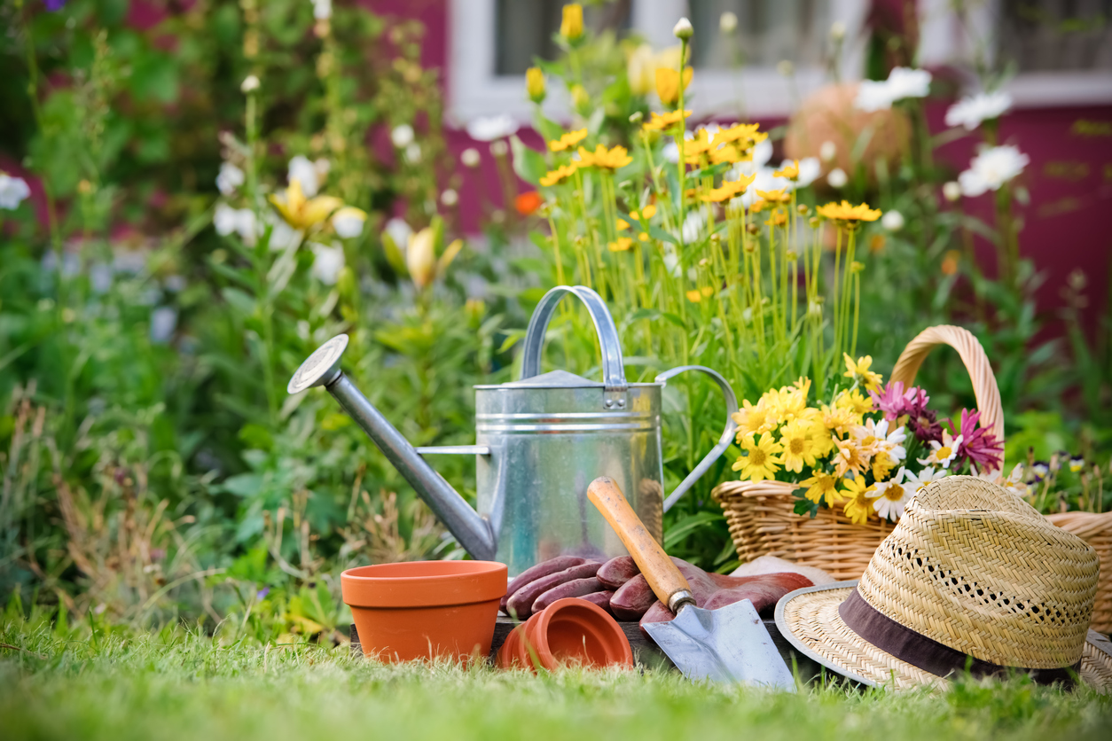 Summer Planting Tips: