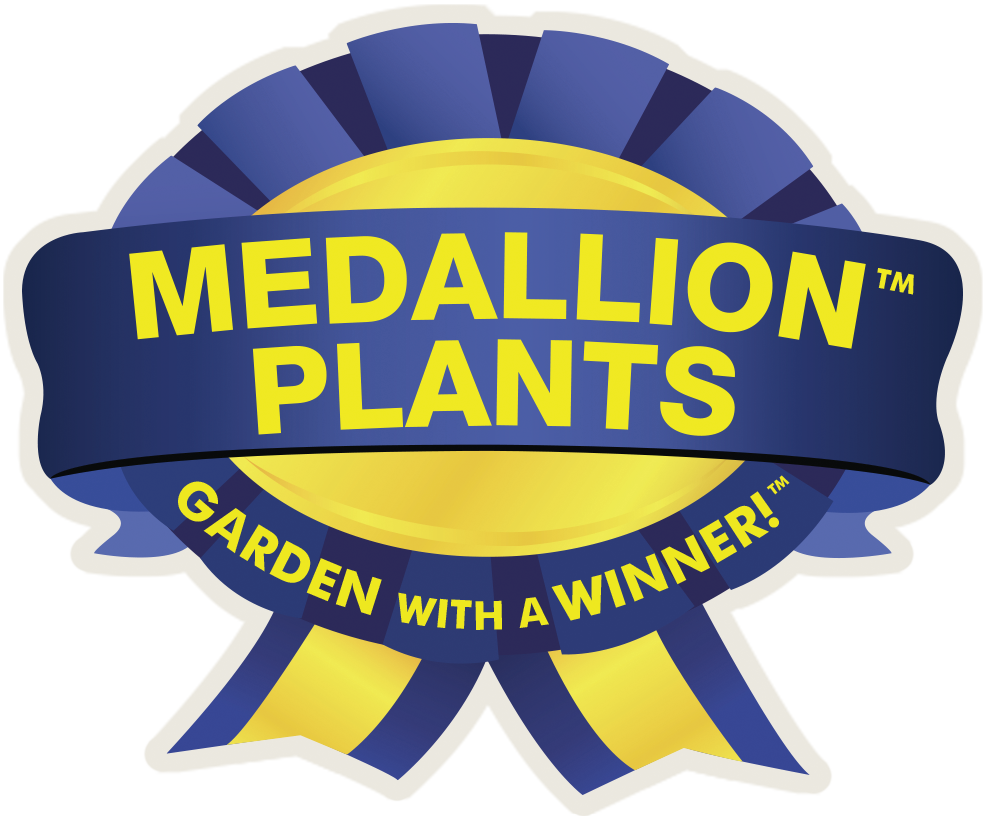 Plant Catalogue Archive - Medallion Plants